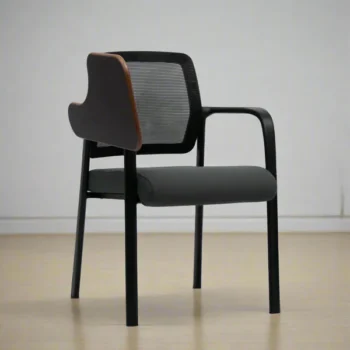 Lecture Chair